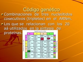 Código genético
Combinaciones de tres nucleótidos
cosecutivos (tripletes) en el ARNm.
Los que se relacionan con los 20
aá utilizados en la síntesis de
proteínas.
 
