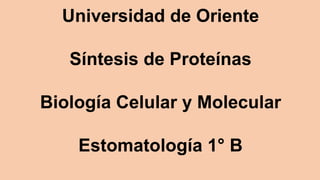 Universidad de Oriente
Síntesis de Proteínas
Biología Celular y Molecular
Estomatología 1° B
 