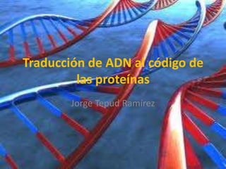 Traducción de ADN al código de
         las proteínas
        Jorge Tepud Ramírez
 