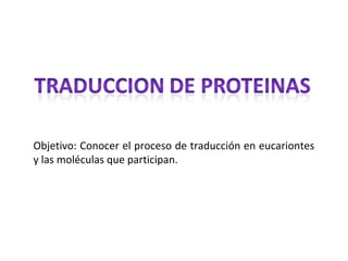 Objetivo: Conocer el proceso de traducción en eucariontes
y las moléculas que participan.
 