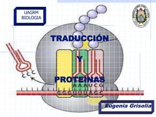 TRADUCCIÓN
Y
PROTEÍNAS
UAGRM
BIOLOGIA
Eugenia Grisolia
 