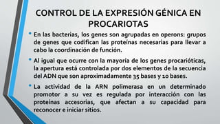 CONTROL DE LA EXPRESIÓN GÉNICA EN
PROCARIOTAS
• En las bacterias, los genes son agrupadas en operons: grupos
de genes que codifican las proteínas necesarias para llevar a
cabo la coordinación de función.
• Al igual que ocurre con la mayoría de los genes procarióticas,
la apertura está controlada por dos elementos de la secuencia
del ADN que son aproximadamente 35 bases y 10 bases.
• La actividad de la ARN polimerasa en un determinado
promotor a su vez es regulada por interacción con las
proteínas accesorias, que afectan a su capacidad para
reconocer e iniciar sitios.
 