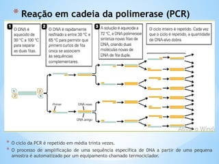 * Reação em cadeia da polimerase (PCR)
* O ciclo da PCR é repetido em média trinta vezes.
* O processo de amplificação de uma sequência específica de DNA a partir de uma pequena
amostra é automatizado por um equipamento chamado termociclador.
 
