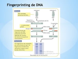 Fingerprinting de DNA
 