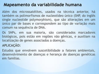 Mapeamento da variabilidade humana
Além dos microssatélites, usados na técnica anterior, há
também os polimorfismos de nucleotídeo único (SNP, do inglês
single nucleotide polymorphism), que são alterações em um
único par de bases e correspondem ao tipo de variação mais
comum na sequência de DNA.
Os SNPs, em sua maioria, são considerados marcadores
biológicos, pois estão em regiões não gênicas, e auxiliam na
localização de genes associados a doenças.
APLICAÇÃO:
Estudos que envolvem suscetibilidade a fatores ambientais,
desenvolvimento de doenças e herança de doenças genéticas
em famílias.
 