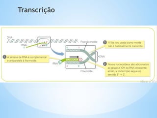 Transcrição
 
