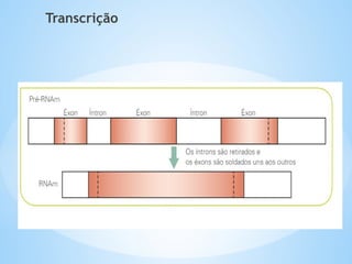 Transcrição
 