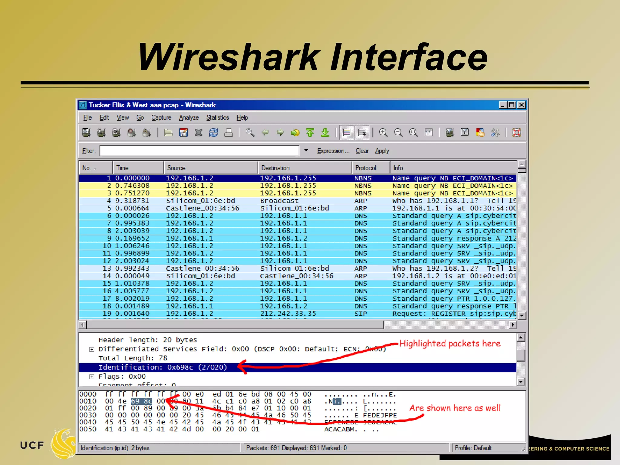 Wireshark Interface
17
 