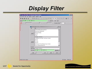 Display Filter
 