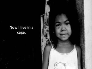 Now I live in a
   cage.
 