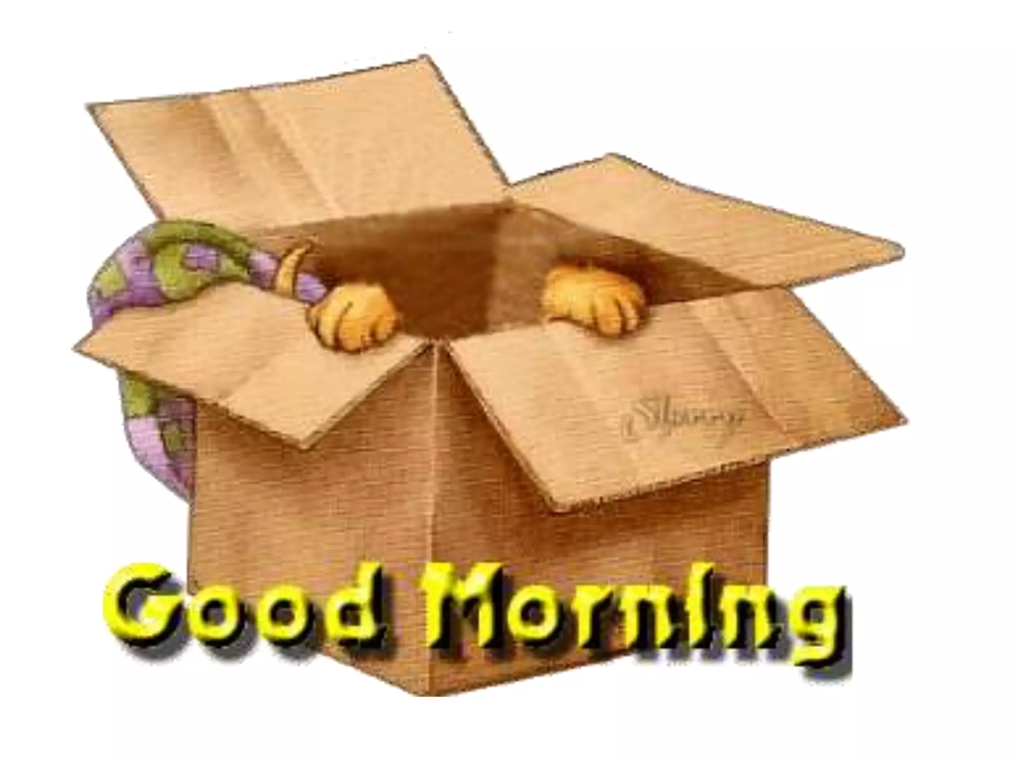 Traffic rule -- conscientization | PPTX