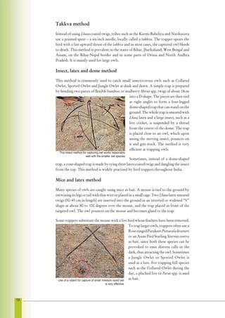 Traffic species birds12[1] | PDF