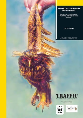 Traffic species birds12[1]