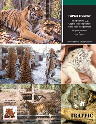 PAPER TIGERS?
                         The Role of the U.S.
                       Captive Tiger Population
                      in the Trade in Tiger Parts
                           Douglas F. Williamson
                                    &
                              Leigh A. Henry



                     A TRAFFIC NORTH AMERICA REPORT




 This report was
published with the
 kind support of
 