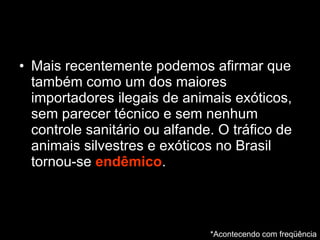 Mais recentemente podemos afirmar que também como um dos maiores importadores ilegais de animais exóticos, sem parecer técnico e sem nenhum controle sanitário ou alfande. O tráfico de animais silvestres e exóticos no Brasil tornou-se  endêmico .  *Acontecendo com freqüência 
