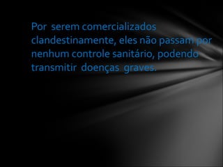 Por  serem comercializados clandestinamente, eles não passam por nenhum controle sanitário, podendo  transmitir  doenças  graves. 