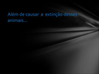 Além de causar  a  extinção desses animais... 