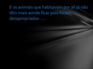 E os animais que habitavam por ali já não têm mais aonde ficar pois foram desapropriados . . . 