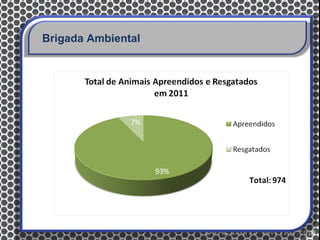 Brigada Ambiental
 