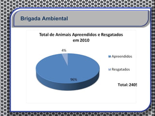Brigada Ambiental
 