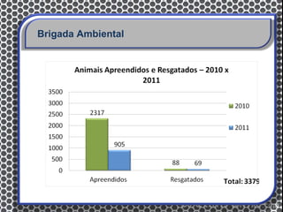 Brigada Ambiental
 