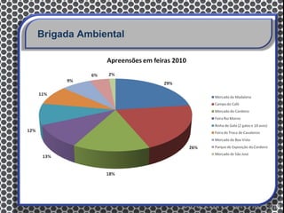 Brigada Ambiental
 