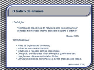 O tráfico de animais


• Definição:

     “Retirada de espécimes da natureza para que possam ser
     vendidos no mercado interno brasileiro ou para o exterior.”

                                                     (IBAMA, 2011)

• Características:

    • Rede de organização criminosa;
    • Inúmeras rotas de escoamento;
    • Influências e relações político-econômicas;
    • Corrupção em diferentes níveis de órgãos governamentais;
    • Ligação com diferentes atividades ilícitas;
    • Estrutura hierárquica semelhantes a outras organizações ilegais.

                                                        (Hernandez, 2008)
 