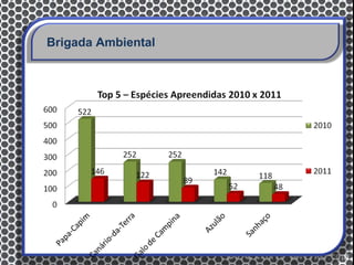 Brigada Ambiental
 