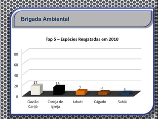 Brigada Ambiental
 