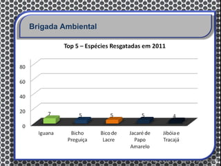 Brigada Ambiental
 