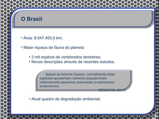 O Brasil


• Área: 8.547.403,5 km;

• Maior riqueza de fauna do planeta:

    • 3 mil espécie de vertebrados terrestres;
    • Novas descrições através de recentes estudos;


              Apesar da enorme riqueza, normalmente estas
          espécies apresentam números populacionais
          relativamente pequenos associadas a expressivos
          endemismos.
                                               (RENCTAS, 2011)

    • Atual quadro de degradação ambiental.
 