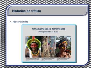 Histórico do tráfico


• Tribos indígenas

                                                 Alimentação
                     Mamíferos, aves, répteis, peixes, anfíbios e insetos;




                          Fonte: diariodaamazonia.com.br   Fonte : ttp://jairantinguiboto.wordpress.com/conheca-
                                                                 a-aldeia-tingui-boto/uma-cultura-milenar/
 