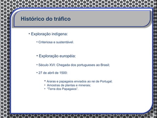 Histórico do tráfico

   • Exploração indígena:

       • Criteriosa e sustentável.



       • Exploração européia:

       • Século XVI: Chegada dos portugueses ao Brasil;

       • 27 de abril de 1500:

            • Araras e papagaios enviados ao rei de Portugal;
            • Amostras de plantas e minerais;
            • “Terra dos Papagaios”.
 