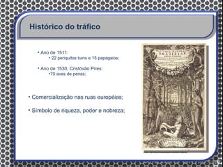 Histórico do tráfico


   • Ano de 1511:
        • 22 periquitos tuins e 15 papagaios;

   • Ano de 1530, Cristóvão Pires:
        •70 aves de penas;




• Comercialização nas ruas européias;

• Símbolo de riqueza, poder e nobreza;




                                                Fonte: http://www.liveauctioneers.com/item/1086458
 