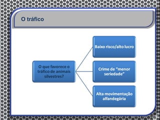 O tráfico
 
