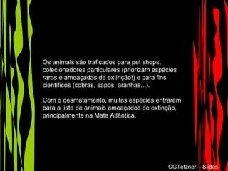 Os animais são traficados para pet shops,
colecionadores particulares (priorizam espécies
raras e ameaçadas de extinção!) e para fins
científicos (cobras, sapos, aranhas...).
Com o desmatamento, muitas espécies entraram
para a lista de animais ameaçados de extinção,
principalmente na Mata Atlântica.
CGTetzner – Slides
 
