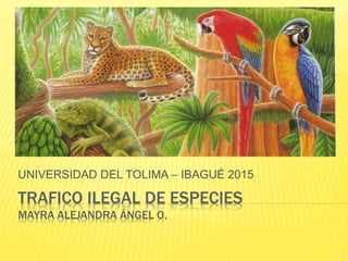 TRAFICO ILEGAL DE ESPECIES
MAYRA ALEJANDRA ÁNGEL O.
UNIVERSIDAD DEL TOLIMA – IBAGUÉ 2015
 