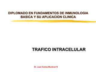 TRAFICO INTRACELULAR


Dr. Juan Carlos Munévar N
 