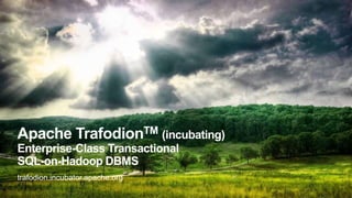 Apache TrafodionTM (incubating)
Enterprise-Class Transactional
SQL-on-Hadoop DBMS
trafodion.incubator.apache.org
1
 
