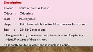 Description :
Colour : white or pale yellowish
Odour : Odourless
Taste : Mucilaginous
Shape : Thin, flattened ribbon like flakes, more or less curved.
Size. : 25×12×2 mm in size.
• The gum is horny,translucent,with transverse and longitudinal
ridges. Fractures of drug is short.
• It is partly soluble in water and insoluble in alcohol.
 