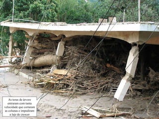 As toras de árvore entraram com tanta velocidade que cortaram as colunas e impediram a laje de crescer 
