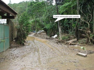 Carros amontoados pelo caminho 