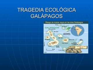 TRAGEDIA ECOLÓGICA
    GALÁPAGOS
 