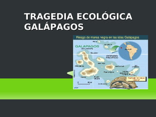 TRAGEDIA ECOLÓGICA
GALÁPAGOS
 