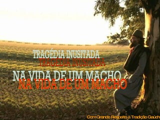 TRAGÉDIA INUSITADA NA VIDA DE UM MACHO Com Grande Respeito à Tradição Gaúcha 