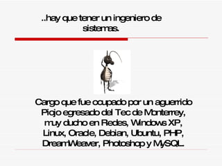 ..h ay que tener un ingeniero de sistemas. C argo que fue ocupado por un aguerrido Piojo egresado del Tec de Monterrey, muy ducho en Redes, Windows  XP , Linux, Oracle , Debian, Ubuntu, PHP, DreamWeaver, Photoshop y MySQL. 