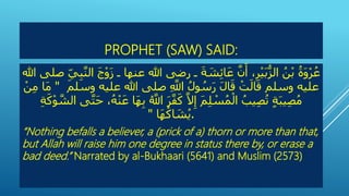 PROPHET (SAW) SAID:
َ‫َـَرضىَهللاَُنهاَـَز‬‫ة‬‫ش‬ِ‫ئ‬‫ا‬َََُّ ‫،َأ‬ِ‫ر‬ْ‫ي‬‫ب‬ُّ‫َالز‬ ُ‫ن‬ْ‫ب‬َُ‫ة‬‫و‬ْ‫ر‬َُُ‫َصلىَهللا‬ِ‫ي‬ِ‫ب‬َّ‫ن‬‫َال‬‫ج‬ْ‫و‬
‫َصلىَهللاَُليهَوس‬ِ َّ‫َاَّلل‬ُ‫نل‬ ُ‫س‬‫َر‬‫ال‬‫َق‬ ْ‫ت‬‫ال‬‫ُليهَوسلمَق‬َ‫لم‬"َ ْ‫ن‬ِ‫م‬َ‫ا‬‫م‬
َِ‫ب‬َُ َّ‫َاَّلل‬‫ر‬َّ‫ف‬‫َك‬َّ‫َل‬ِ‫َإ‬‫م‬ِ‫ل‬ ْ‫س‬ُ‫م‬ْ‫َال‬ُ‫يب‬ِ‫ص‬ُ‫ت‬ٍَ‫ة‬‫يب‬ِ‫ص‬ُ‫م‬َِ‫ة‬‫ك‬ْ‫ن‬ َّ‫ىَالش‬َّ‫ت‬‫،َح‬ُ‫ه‬ْ‫ن‬َُ‫ا‬‫ه‬
َ‫ا‬‫ه‬ُ‫اك‬‫ش‬ُ‫ي‬" .
“Nothing befalls a believer, a (prick of a) thorn or more than that,
but Allah will raise him one degree in status there by, or erase a
bad deed.” Narrated by al-Bukhaari (5641) and Muslim (2573)
 