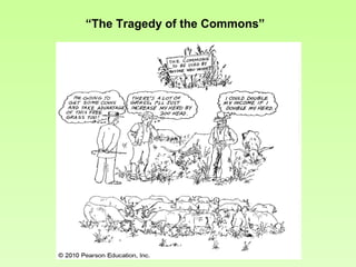 “The Tragedy of the Commons”
 