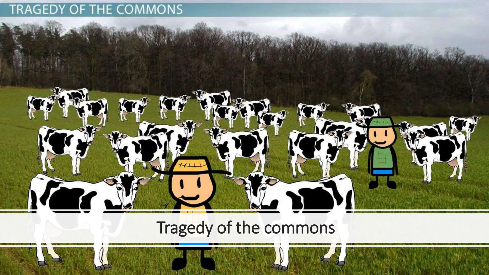 Tragedy Of Commons Pptx Environment Science Tragedy Of Commons Pptx Environment Science