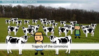 Tragedy of the commons
 